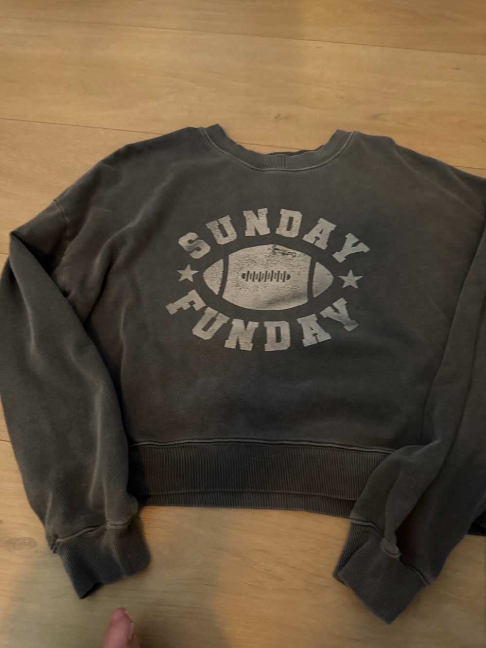 Z Supply Charcoal Gray Graphic Crewneck Sweatshirt